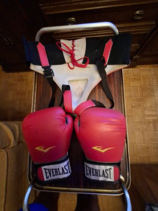 Coquilla y guantes boxeo Everlast Rude Boys