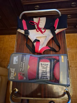 Coquilla y guantes boxeo Everlast Rude Boys