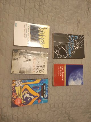 Lote libros lecturas 2ESO IES Consaburum Consuegra