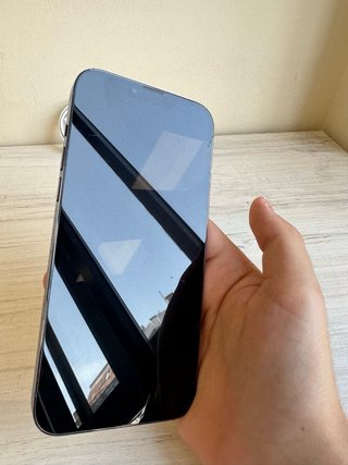 iPhone 13 Pro Max 512GB | Negozio | Garanzia