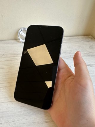 iPhone 13 Pro Max 512GB | Negozio | Garanzia