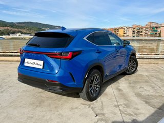 Lexus NX 350H 4X4 2024