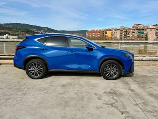 Lexus NX 350H 4X4 2024