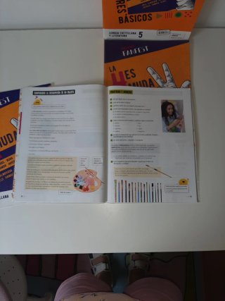 Lengua Castellana y Literatura 5 primaria