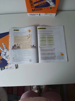 Lengua Castellana y Literatura 5 primaria
