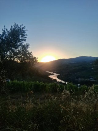 Quinta no CORAÇÃO DO DOURO com 1.5  hectar