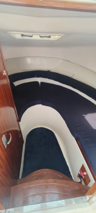Astinor 700
