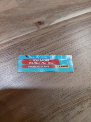 Cromo Mundial Error