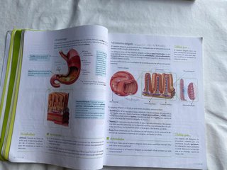Biología y Geología, 3o ESO.
