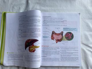 Biología y Geología, 3o ESO.