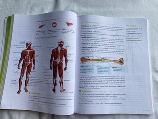 Biología y Geología, 3o ESO.