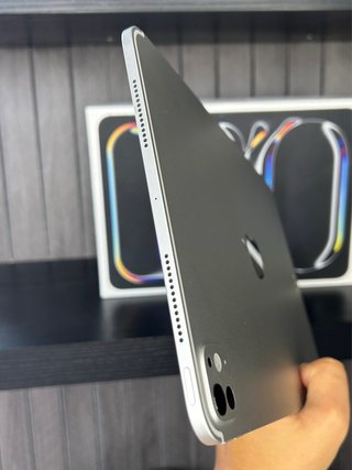 iPad Pro 11 M4 256GB Wifi Plata