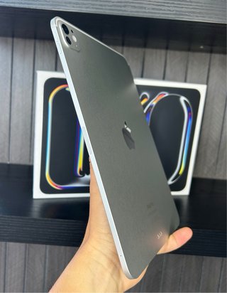 iPad Pro 11 M4 256GB Wifi Plata