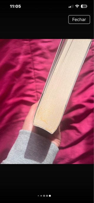 livro O Príncipe Cruel em português