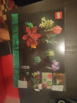 Set Collezione Botanica LEGO (2 Scatole)