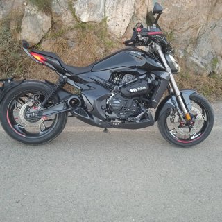 Zontes v 310