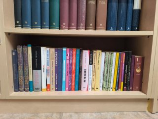 Libros sobre feminismos - varios descatalogados!