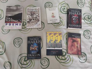Pack de 7 libros en inglés