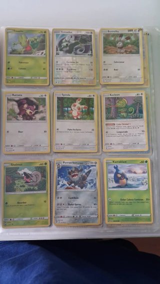 Cartas Pokémon + 3 Álbumes Total de cartas 1282