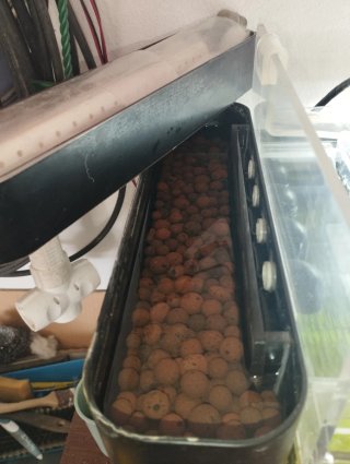Acuario artesanal metacrilato