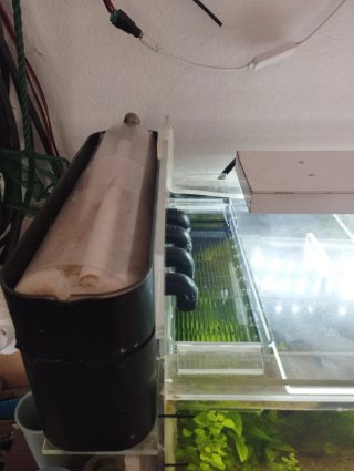 Acuario artesanal metacrilato