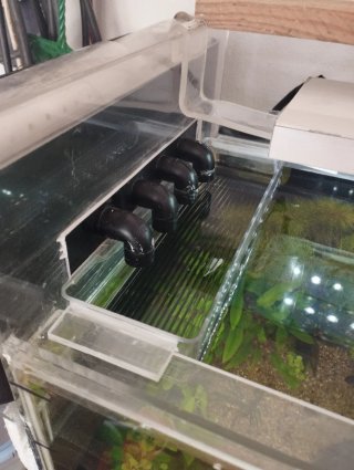 Acuario artesanal metacrilato