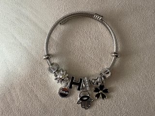 Pulsera de Acero con Dijes