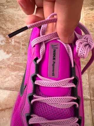 Air zoom pegasus 41