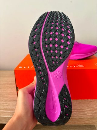 Air zoom pegasus 41