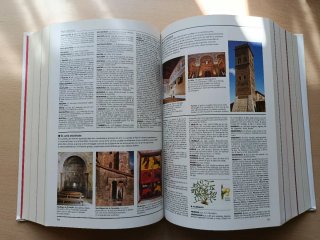 El pequeño Larousse ilustrado 2013 +online