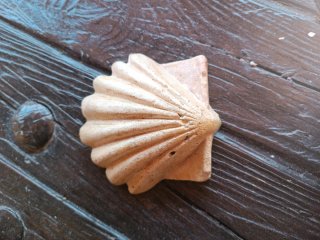 Conchas decorativas Camino de Santiago
