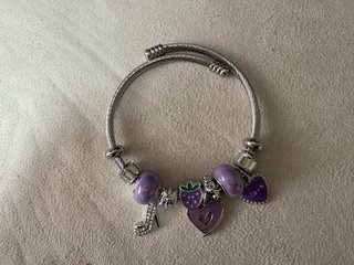 Pulsera Acero con Dijes Morados