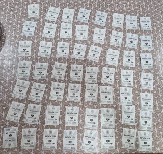 Cromos España 2026 Panini