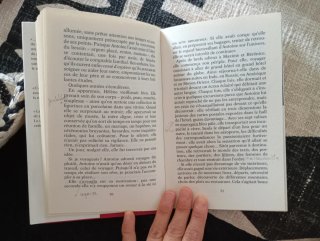 Odette Toulemonde et autres histoires