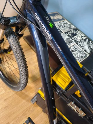 Cannondale Trail 29 Talla L...