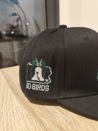 Gorra Snapback Philadelphia Eagles