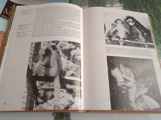 Pequeña enciclopedia de animales mamíferos