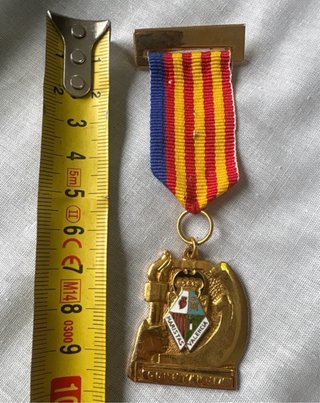 Medalla Constancia Fallas Valencia