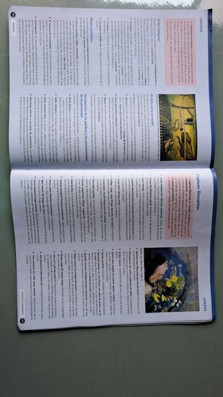 Lengua castellana y literatura II. Libro del es...