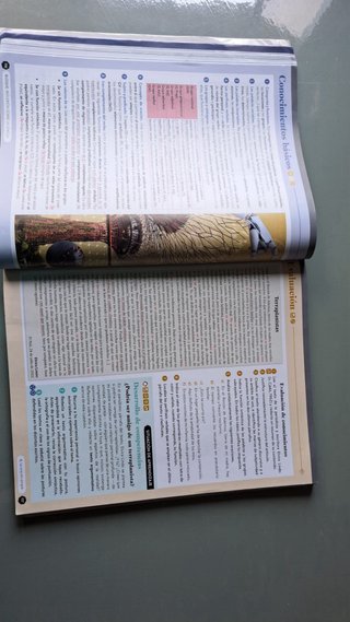 Lengua castellana y literatura II. Libro del es...