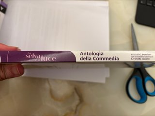 Antologia Divina Commedia de La Selva e la luce