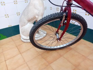 Bicicleta roja con portaequipajes