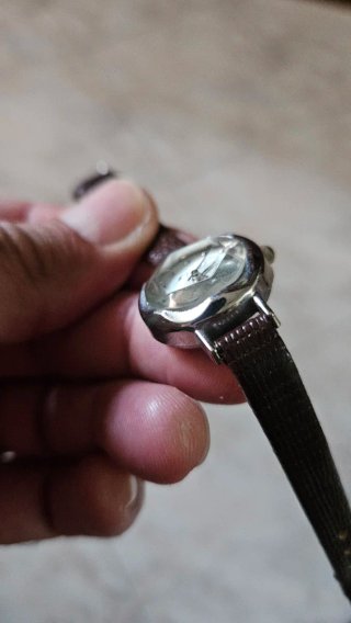 Orologio KTEVO donna elegante marrone/argento