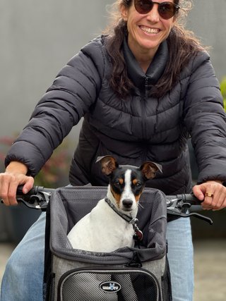 Transportín Bicicleta Mascota Gris/Negro