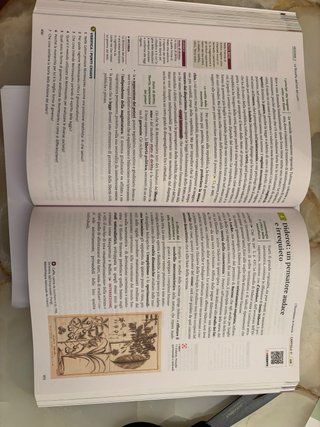 Le ragioni del Pensiero 2