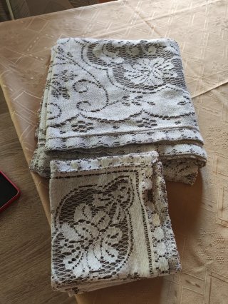 Mantelería y 12 servilletas a juego encaje beige