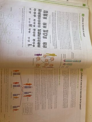 Biología y Geología, 4 Secundaria, Andalucía Re...