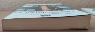 Novela romántica "Morning Glory"