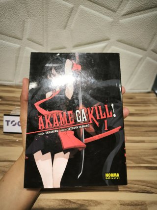 Cómic Manga Akame Ga kill Volúmen 1