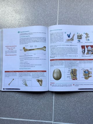 Biología y Geología 3º ESO. Libro del estudiant...